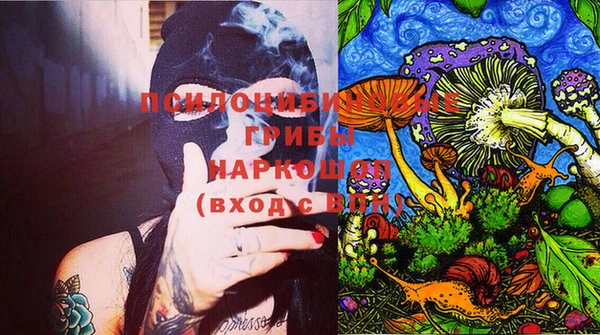 стаф Баксан