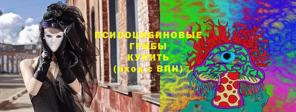 стаф Баксан