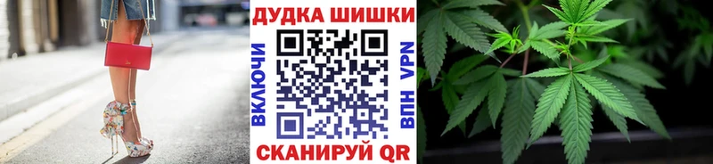 Конопля OG Kush  Узловая 